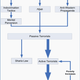 A chart outlining Dr. Hamid's controversial notions on the hijab, passive terrorism, and their role in active terrorism.